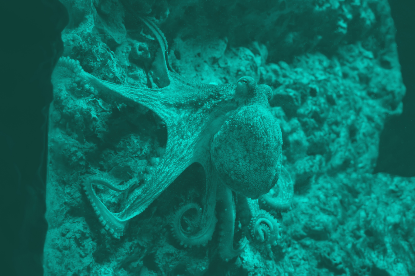 Alstradev Cycle diagram illustrating the five phases of adaptive strategy